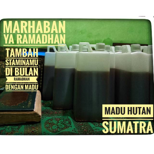 

Madu hutan sumatra