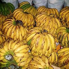 

Pisang Barangan Besar-besar ( 1 Sisir )