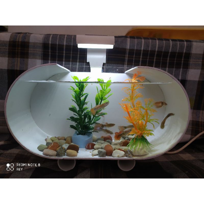 Aquarium Mini Akrilik PVC ukuran S (20x10x18)