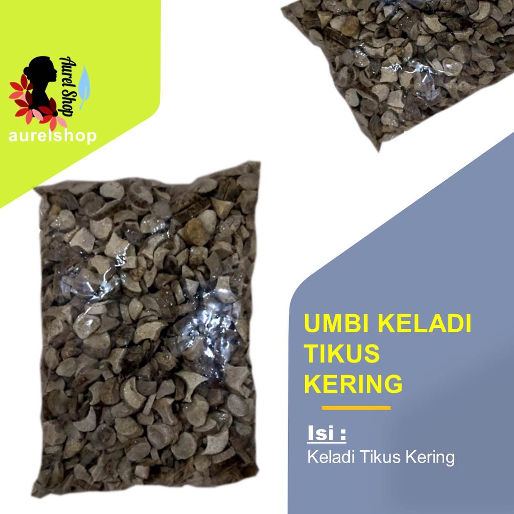 

Umbi Keladi Tikus Kering/ Rodent Tuber/ Typhonium flagelliforme