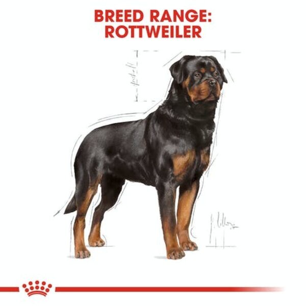 Royal Canin Rottweiler Adult 12kg 12 kg Makanan Anjing Dewasa Dog Food