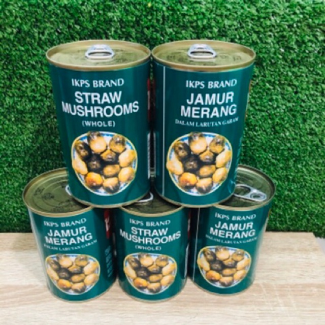 

Jamur merang kaleng straw mushroom besar 425gr