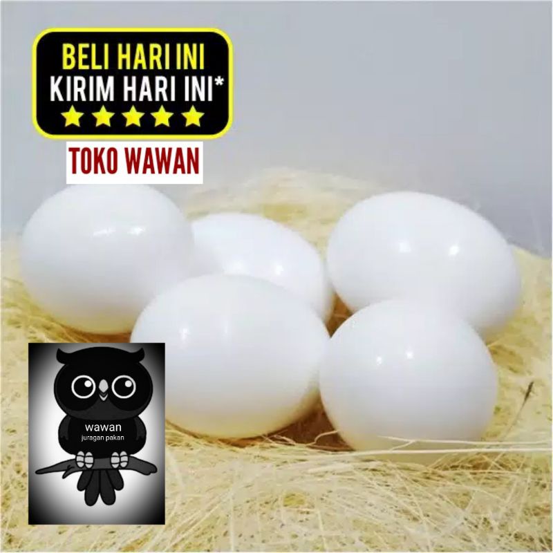 TELUR PALSU BURUNG MERPATI-  DUMMY EGG