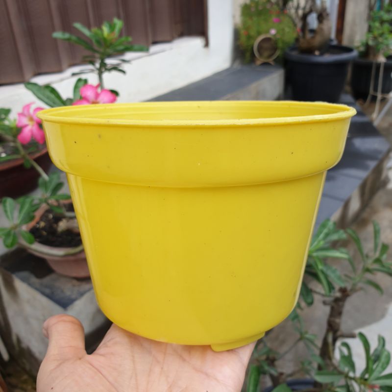 POT BASIC 17 WARNA WARNI pot bunga polos biasa pot semai murah