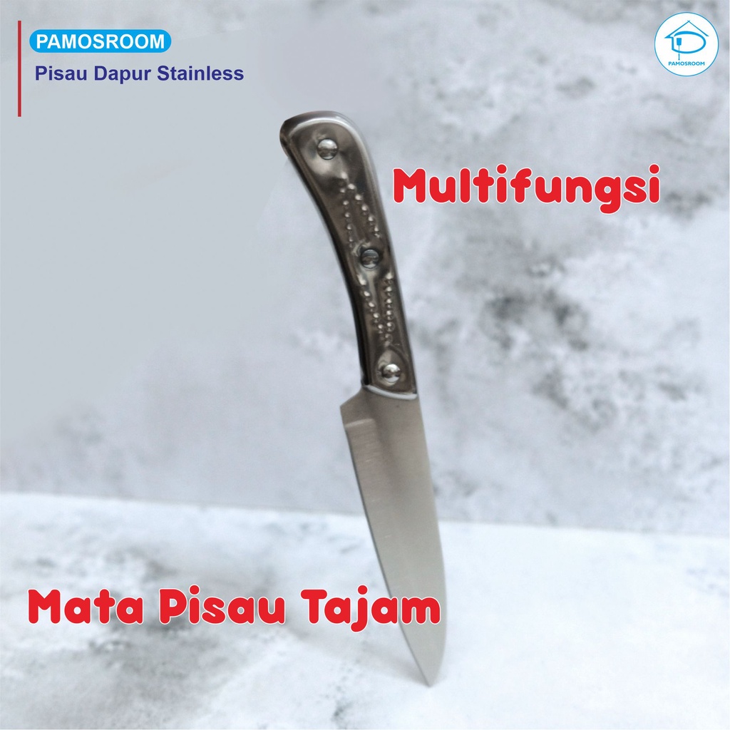 Pisau Dapur Pisau Buah Stainless Steel Pisau Daging Stainless Panjang 21cm