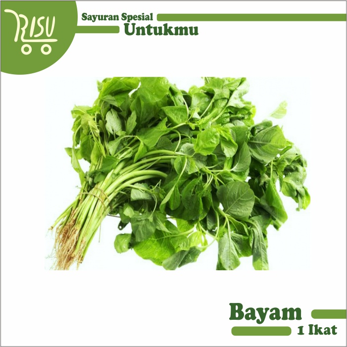 

Bayam Segar Murah 1 ikat Fresh Spinach Sayur Sayuran Berkualitas