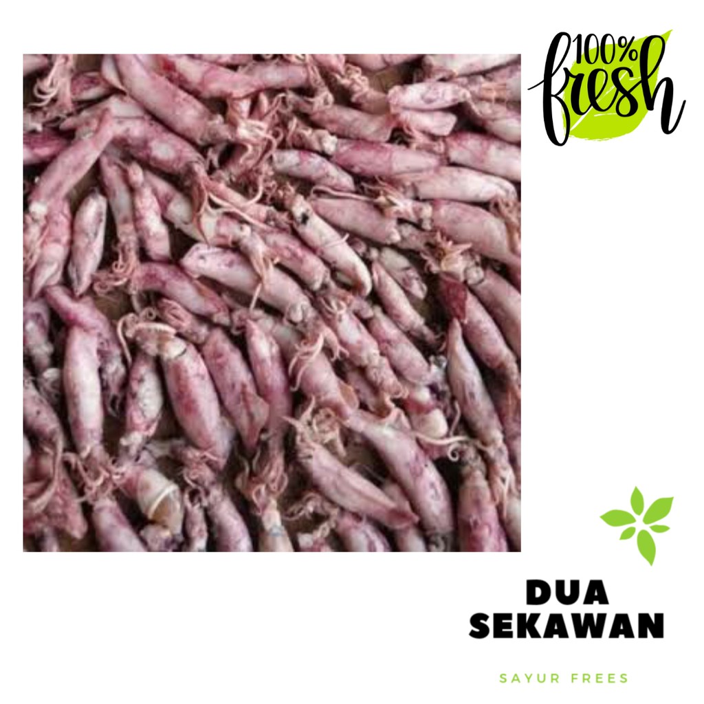 

Dua Sekawan | cumi asin telur premium