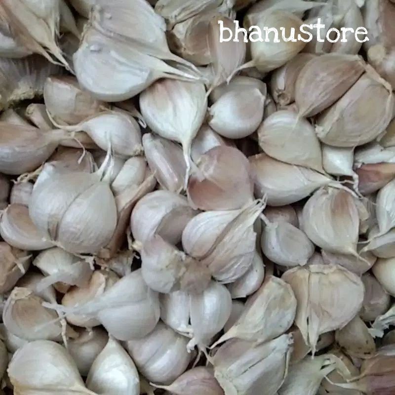

Bawang Putih Kating 1/2 Kg