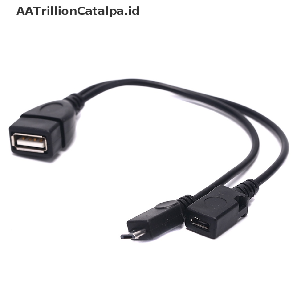 Aa Kabel Adapter Power Splitter Y Trillioncatalpa OTG Male Ke USB A Male Female