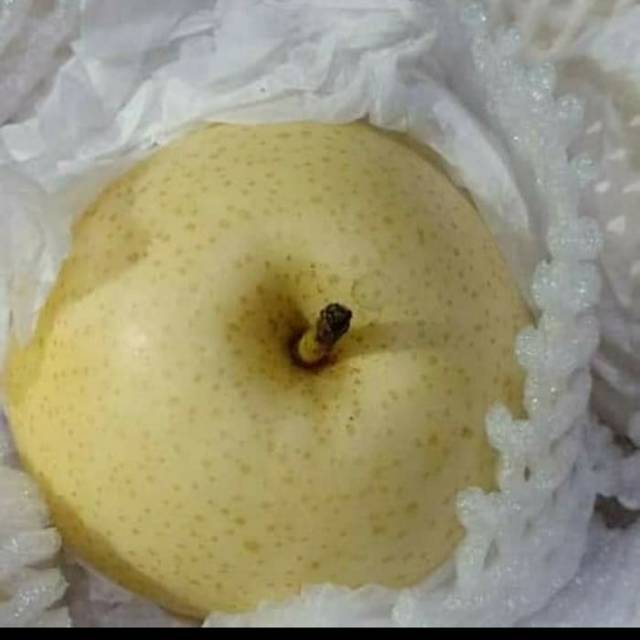 

Buah pear swet madu fresh 1000grm