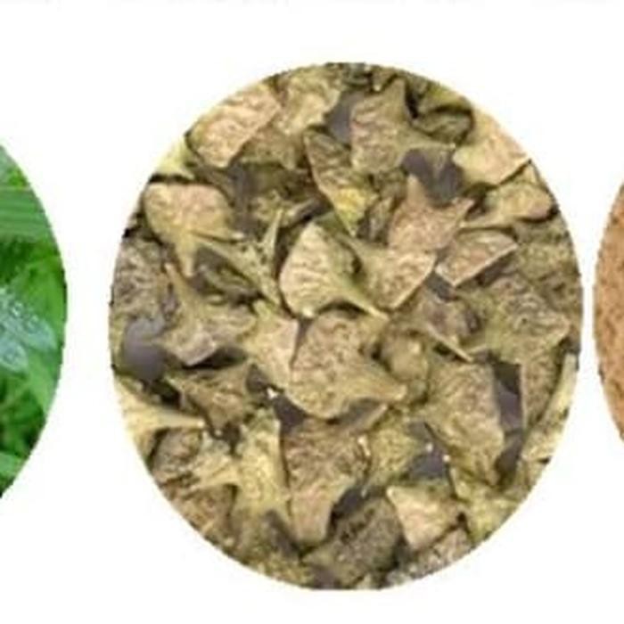 

Murah Bubuk Tribulus Asli 1 Kg