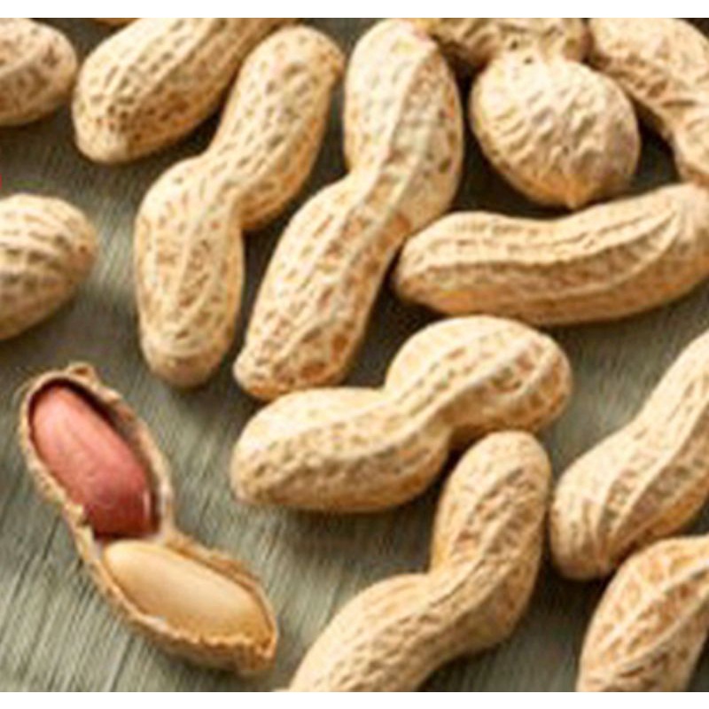 

kacang kulit asin 500gram