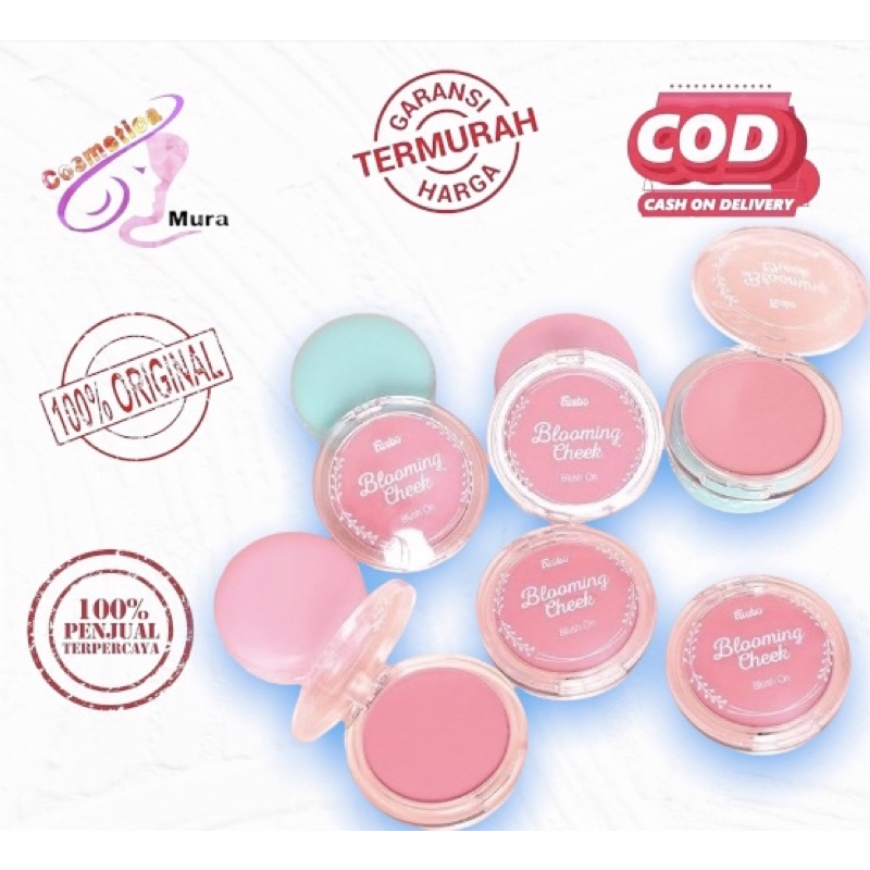 new fanbo blush on || fanbo blooming cheek blush on padat