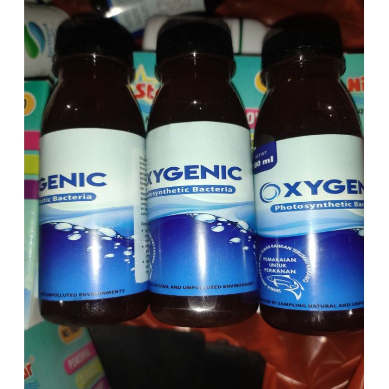 oxygenic bakteri starter probiotik