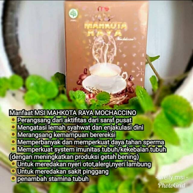 

MSI MAHKOTA RAYA