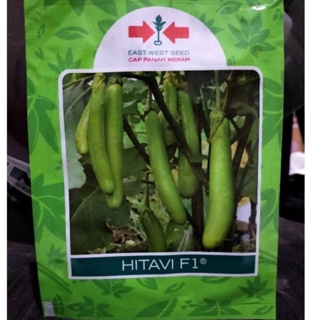 HITAVI F1 Terong hijau kuat kemasan pabrik isi 10gram