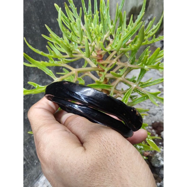 GELANG AKAR BAHAR HITAM ASLI POLOS LENTUR DAN BERKUALITAS