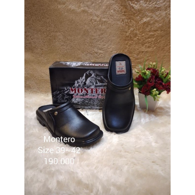 sepatu fantofel pria