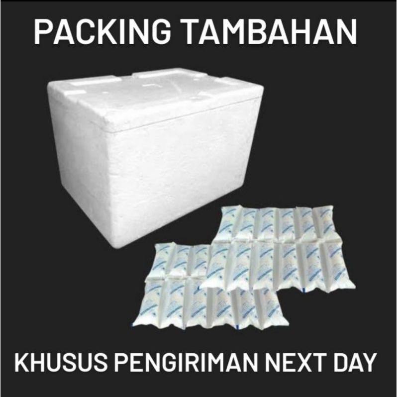 Jual PACKING TAMBAHAN (Styrofoam box + ice gell pack) Shopee Indonesia