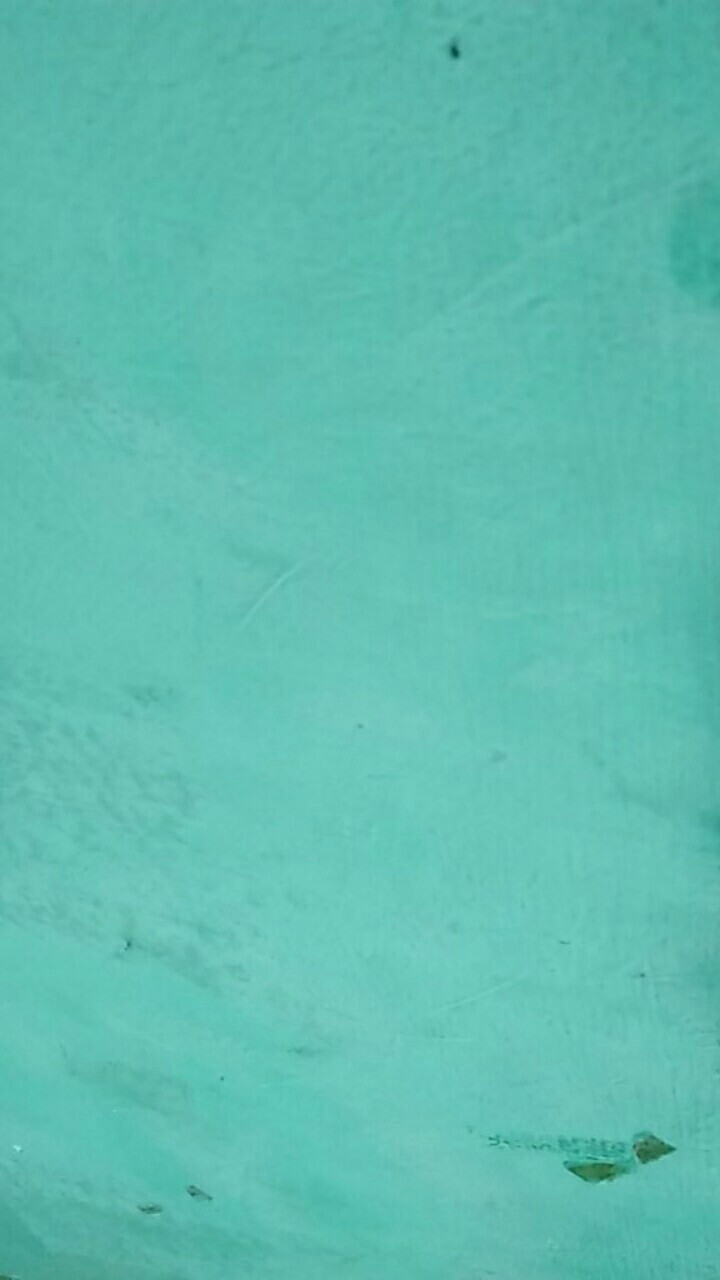 Five Goats Timbangan Buah Serbaguna Cap Kambing 5, 10, 15, 20 Kg