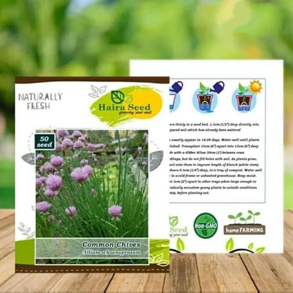 Benih Biji Common Chives Tanaman Kucai Daun Bawang Batak Kecil Haira Seed