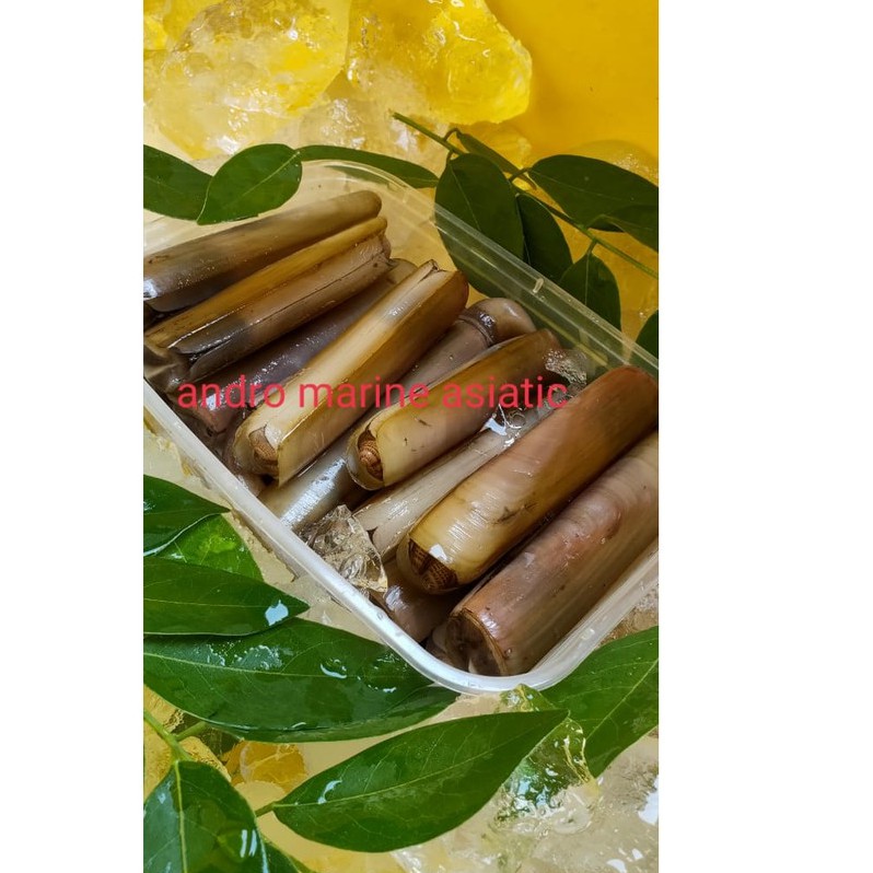 

kerang bambu (bamboo clams) packing per 500gr
