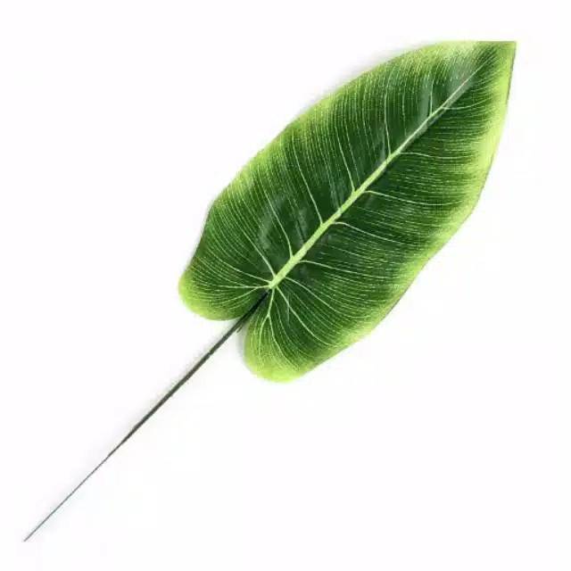 Artificial Banana Leaf / Artifisial Daun Pisang Palsu