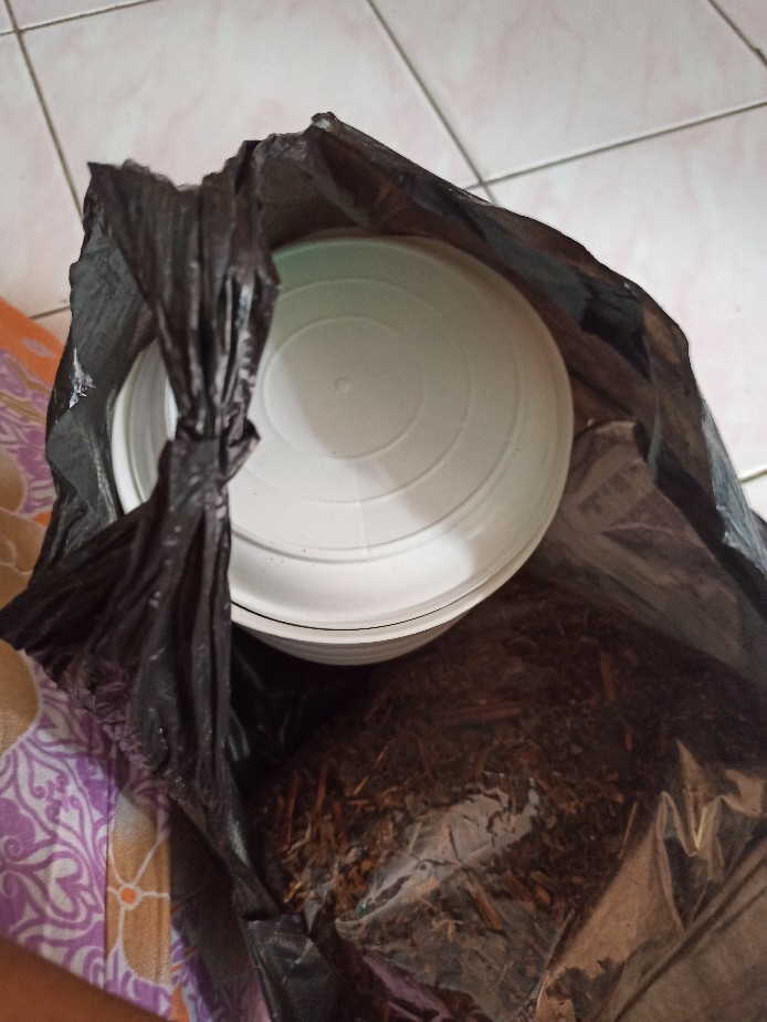 Antracol Fungisida 250 & 500 Grm