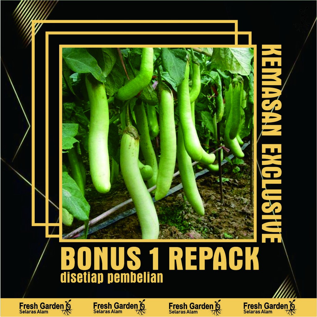 Suplier 25 Benih Biji Terong Unggul Liberto mmb9D0QHE8ZQrw