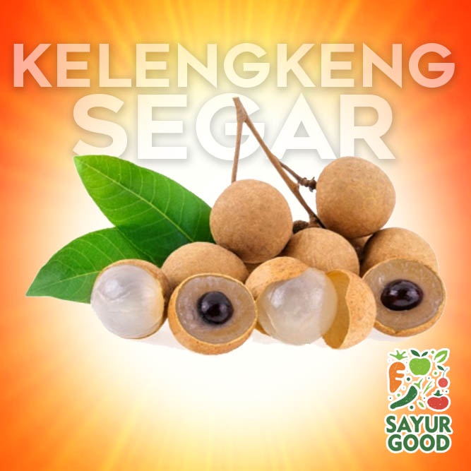 

Kelengkeng Segar / Lengkeng / Buah Lengkeng Fresh 1 Kg (Buah Segar)