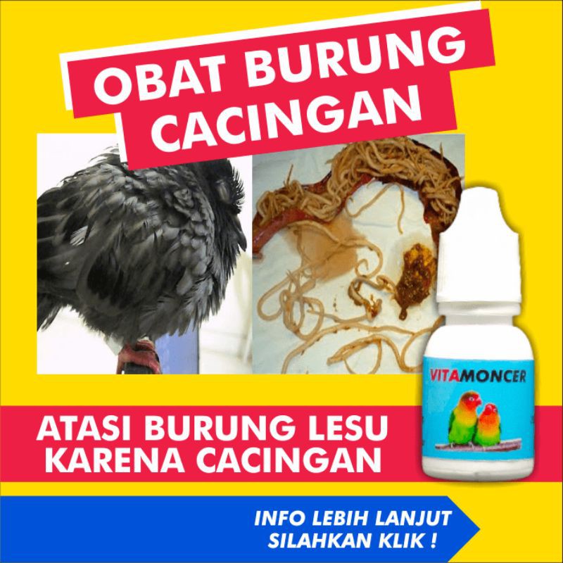 Vitamin Obat Cacing Burung Lovebird Murai Kacer Pleci Cucak Ijo Dara Merpati Kenari Cacingan Nyilet