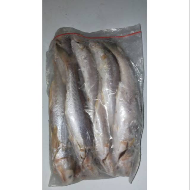 

Ikan senangin fresh