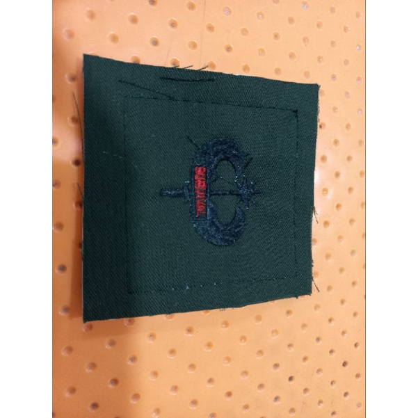 Brevet Survival TNI AU
