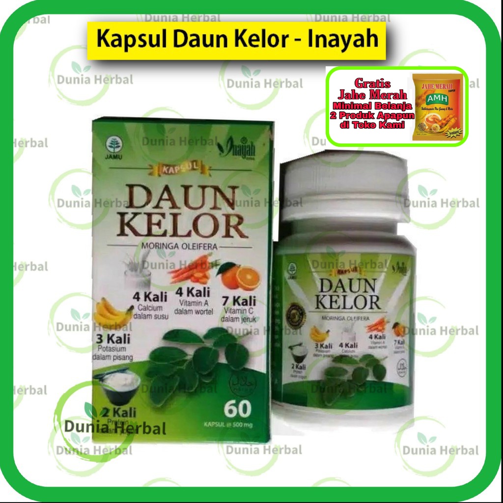 Kapsul Daun Kelor Inayah - Moringa Oleifera