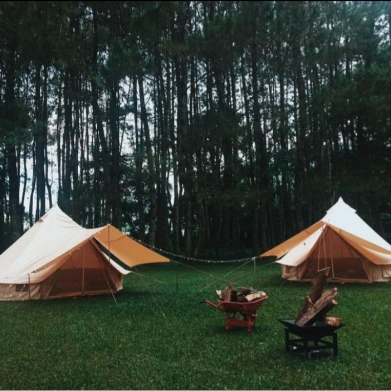 Tenda glamping safary