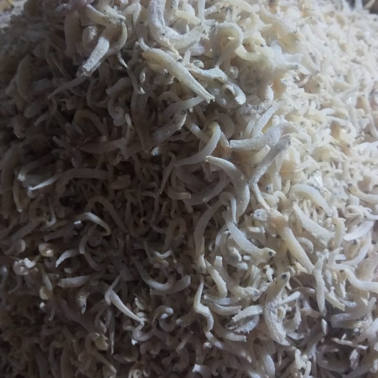 

Teri Medan kecil 1 Kg