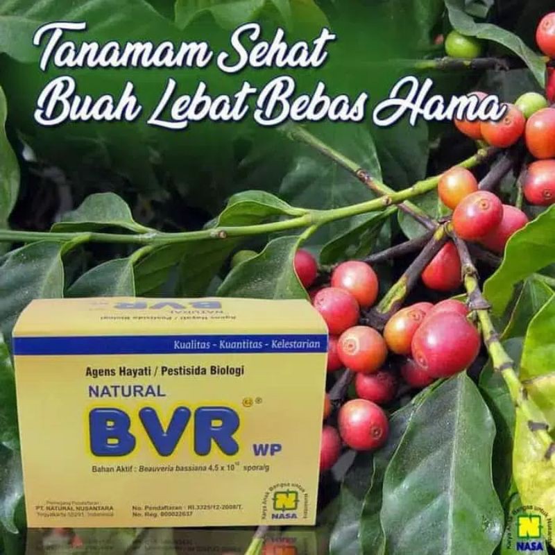 Pestisida Organik BVR Beauveria Bassiana Nasa 100 Gr NASA