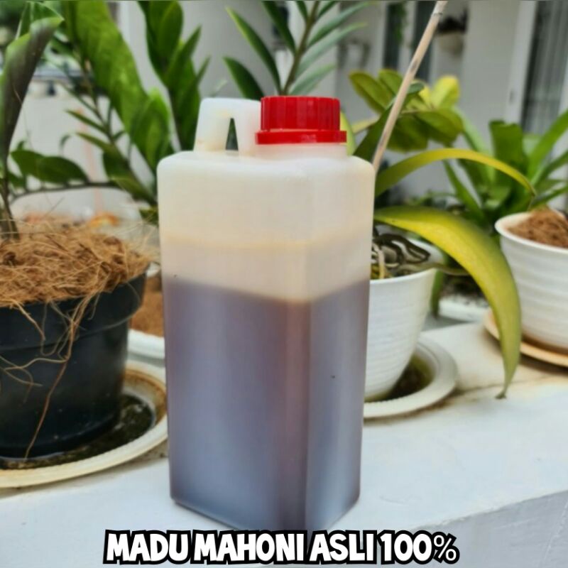 

MADU PAHIT MAHONI ASLI 100% NETTO