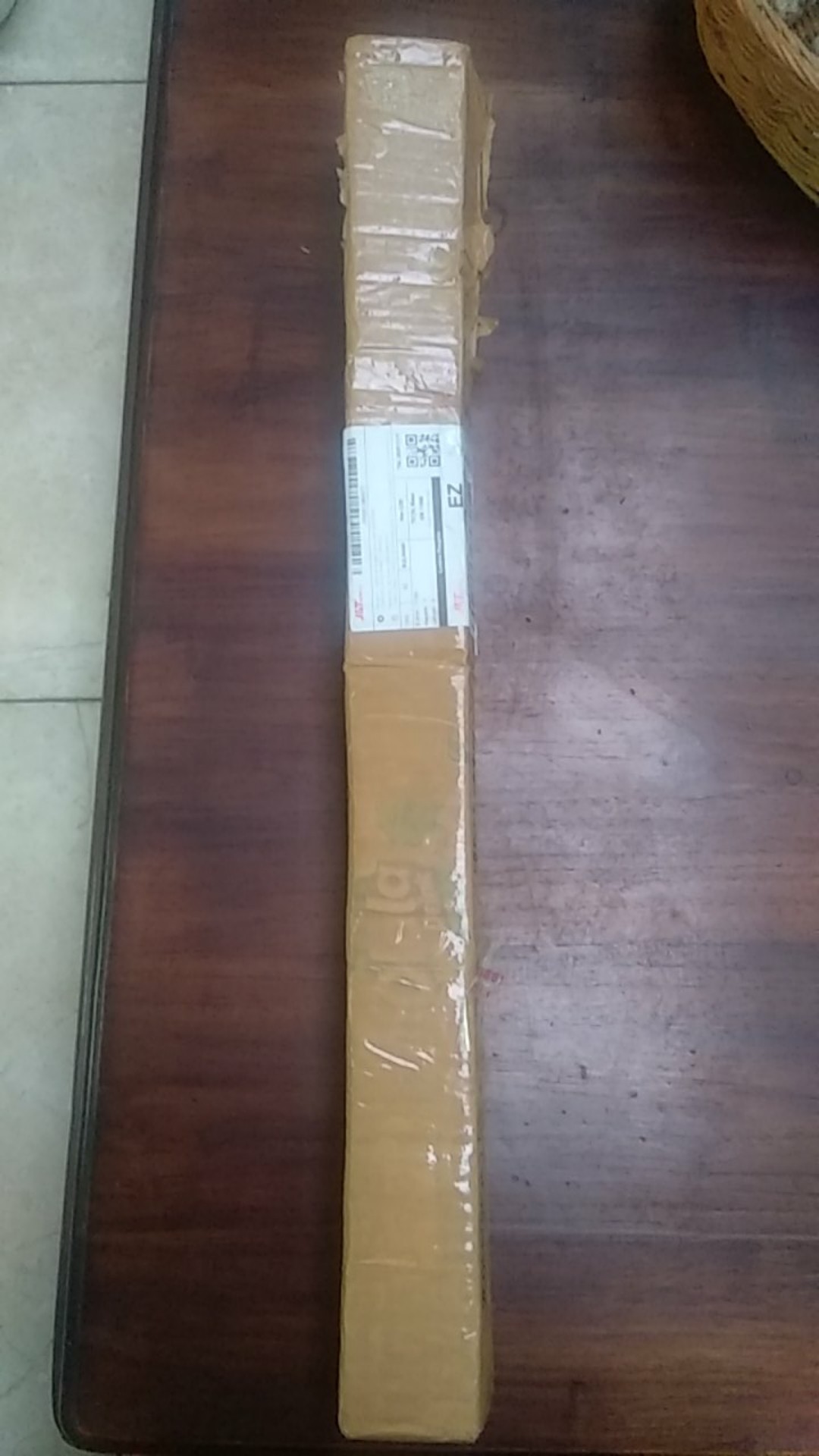 Tanaman Hias Sensivera Silinder - Sensivera Tombak