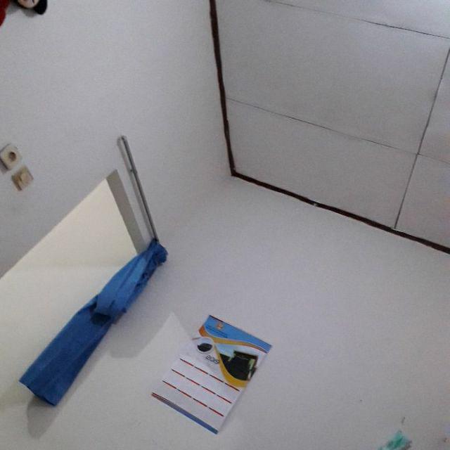St4m Pengupas Kentang, 3 Pilihan Warna