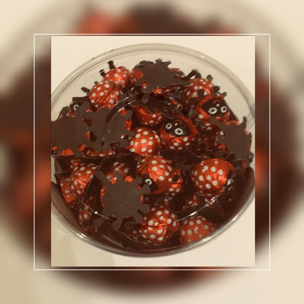 Elvan Coklat Truffle My Ladybird 560 gr