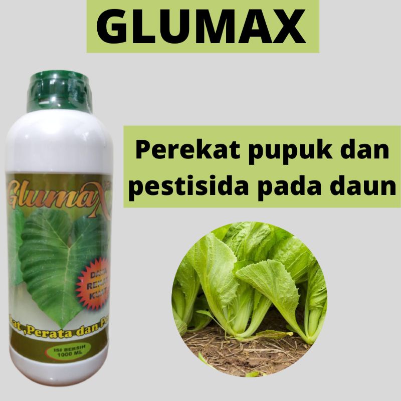Perekat Glumax Dan Perata Pestisida, Perekat Insektisida