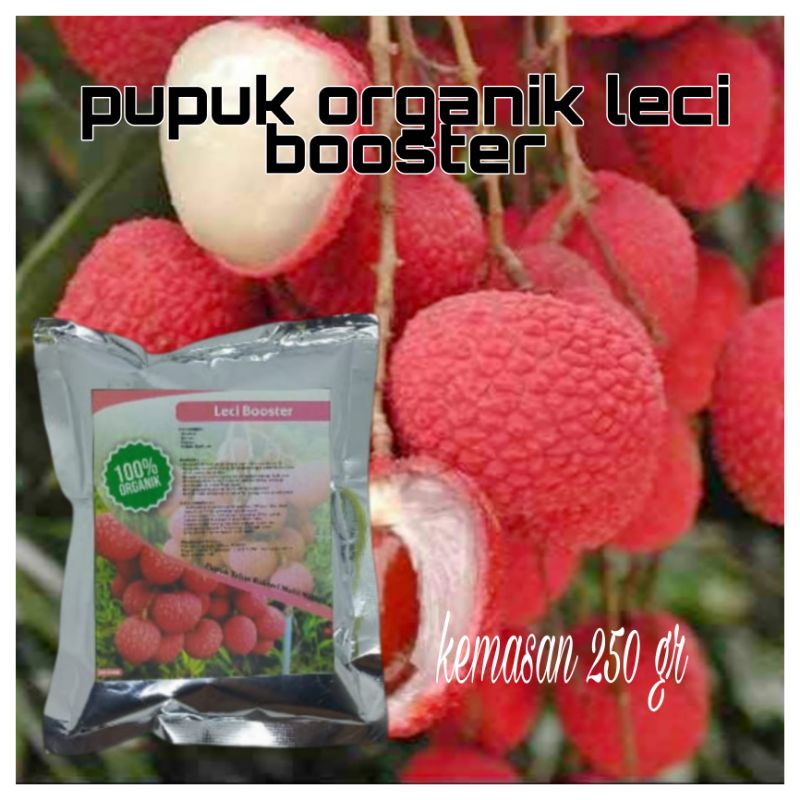 pupuk organik leci booster pupuk buah leci booster leci