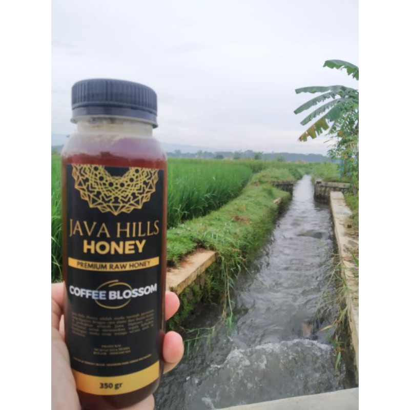 

Madu Kopi/Coffee Blossom (350gr)