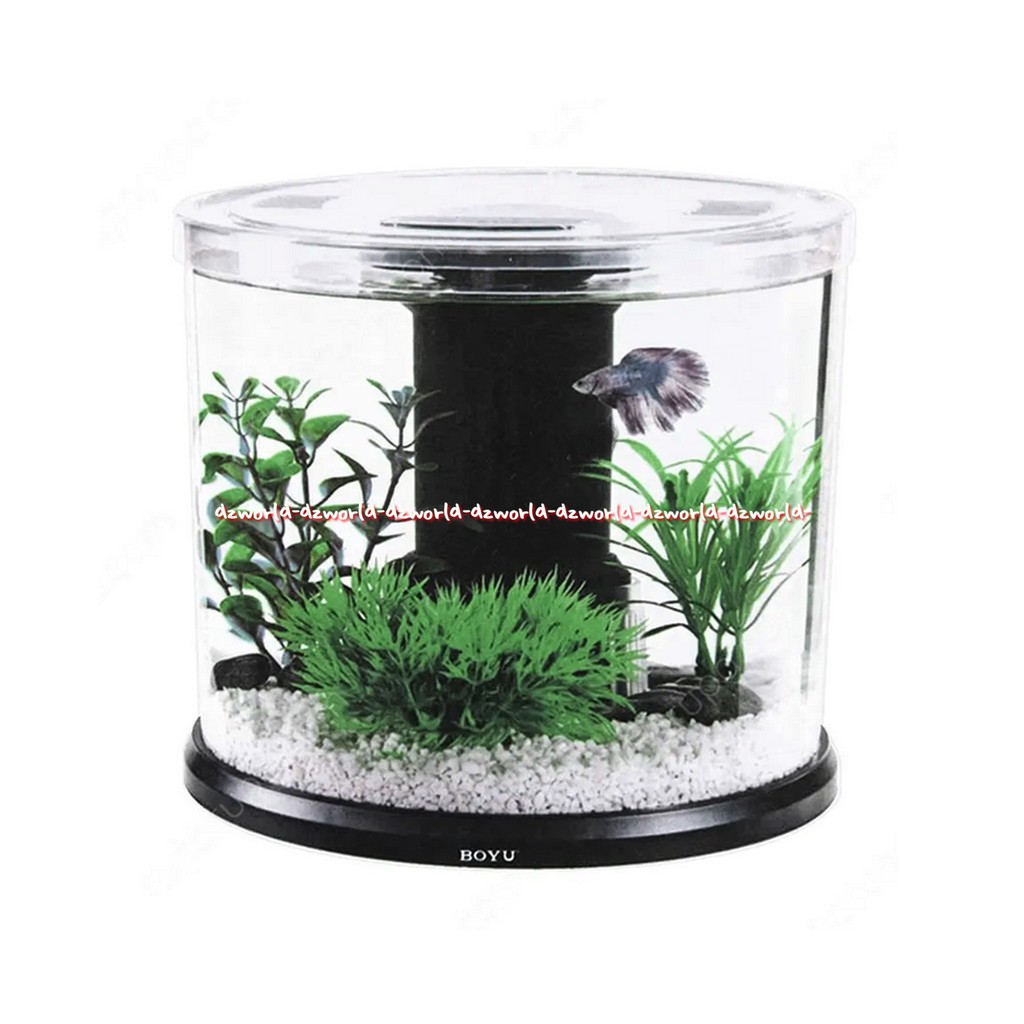 Boyu Desktop Aquarium Tempat Akuarium Meja Mini Oval