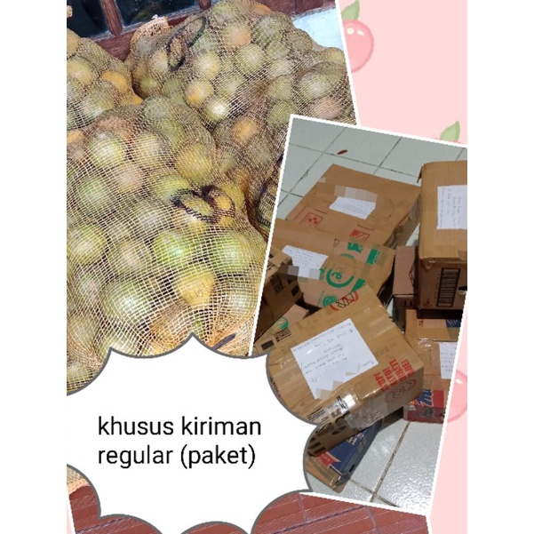 

JERUKBABYMALANGMANISkirimanpaketregular