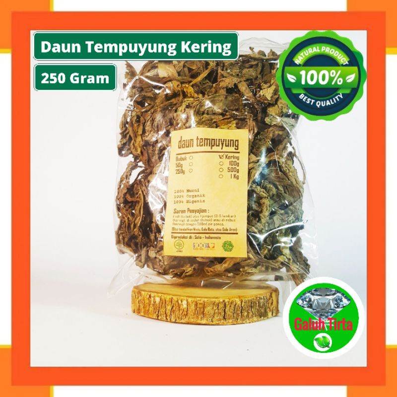 

DAUN TEMPUYUNG KERING 250 GRAM - Sonchus Arvensis - MURNI - JSR