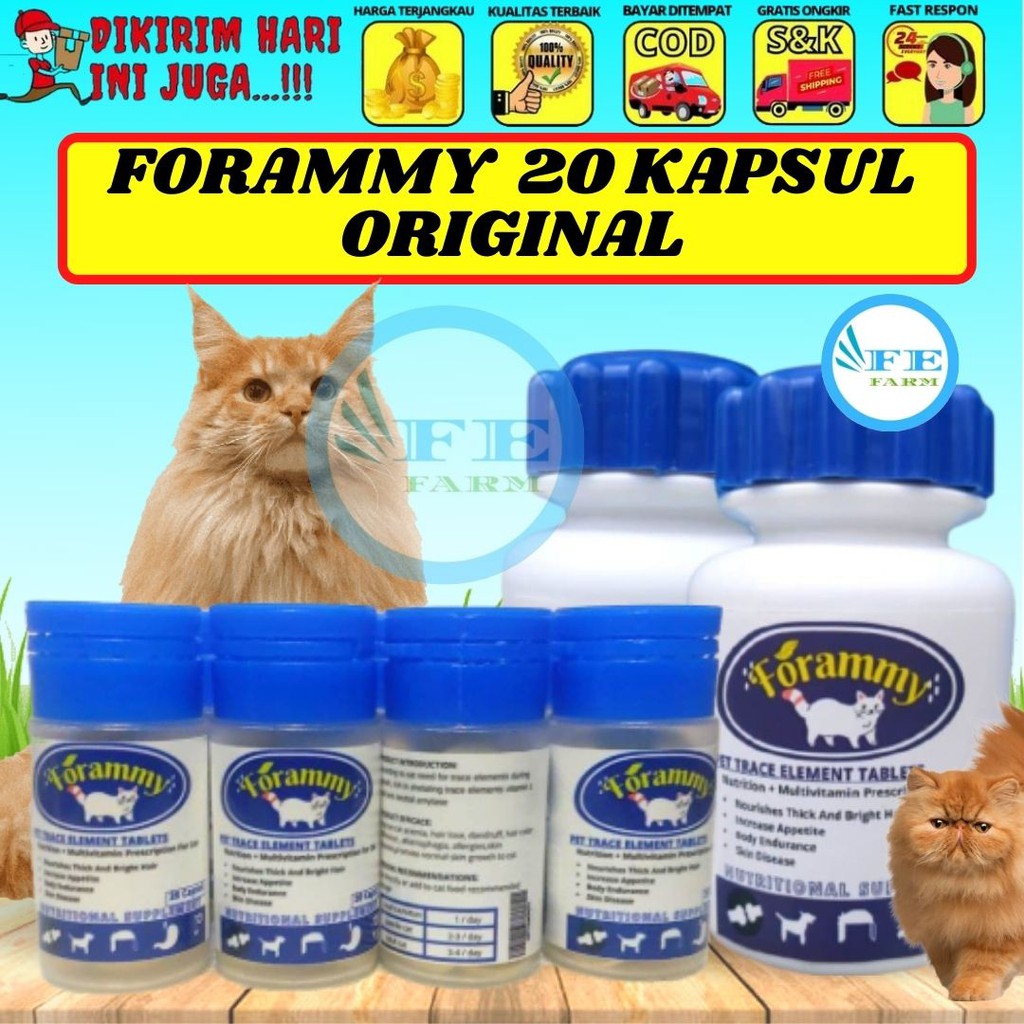 Obat Vitamin/suplemen Penumbuh Bulu Kucing Cat Kitten FORAMMY 20 kapsul FEFARM