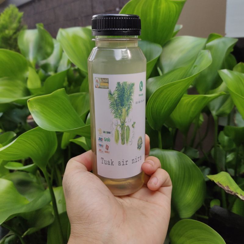 

hemat jual air nira air aren fresh kemasan 250 ml
