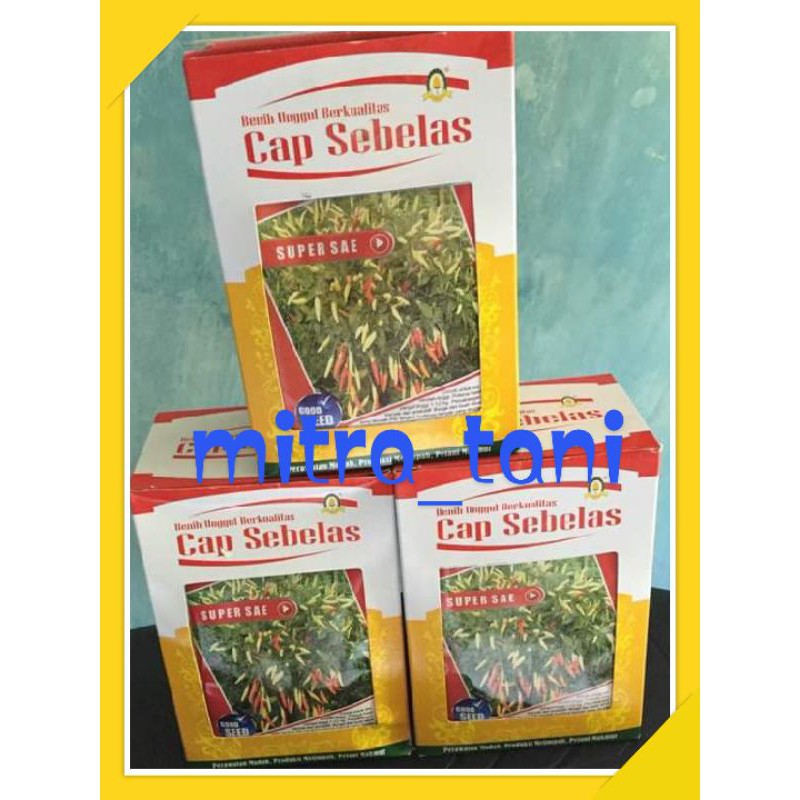 benih cabai cabe rawit SUPER SAE 10gram dari CAP SEBELAS